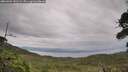 ./images/calvert/fitz-hugh-hecate/20260902/fitz-hugh-hecate20260902_141502M.jpg