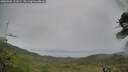 ./images/calvert/fitz-hugh-hecate/20260902/fitz-hugh-hecate20260902_151001M.jpg