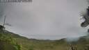 ./images/calvert/fitz-hugh-hecate/20260902/fitz-hugh-hecate20260902_151502M.jpg