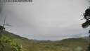 ./images/calvert/fitz-hugh-hecate/20260902/fitz-hugh-hecate20260902_152001M.jpg