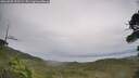 ./images/calvert/fitz-hugh-hecate/20260902/fitz-hugh-hecate20260902_152501M.jpg