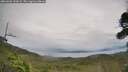 ./images/calvert/fitz-hugh-hecate/20260902/fitz-hugh-hecate20260902_153001M.jpg