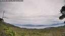 ./images/calvert/fitz-hugh-hecate/20260902/fitz-hugh-hecate20260902_153501M.jpg