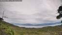 ./images/calvert/fitz-hugh-hecate/20260902/fitz-hugh-hecate20260902_154001M.jpg