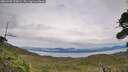 ./images/calvert/fitz-hugh-hecate/20260902/fitz-hugh-hecate20260902_155001M.jpg