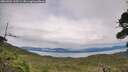./images/calvert/fitz-hugh-hecate/20260902/fitz-hugh-hecate20260902_155501M.jpg