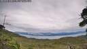 ./images/calvert/fitz-hugh-hecate/20260902/fitz-hugh-hecate20260902_160002M.jpg