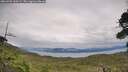 ./images/calvert/fitz-hugh-hecate/20260902/fitz-hugh-hecate20260902_160501M.jpg