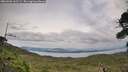 ./images/calvert/fitz-hugh-hecate/20260902/fitz-hugh-hecate20260902_162501M.jpg