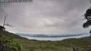 ./images/calvert/fitz-hugh-hecate/20260902/fitz-hugh-hecate20260902_171501M.jpg