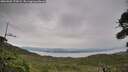 ./images/calvert/fitz-hugh-hecate/20260902/fitz-hugh-hecate20260902_172001M.jpg