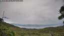 ./images/calvert/fitz-hugh-hecate/20260902/fitz-hugh-hecate20260902_173501M.jpg
