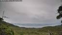 ./images/calvert/fitz-hugh-hecate/20260902/fitz-hugh-hecate20260902_174001M.jpg