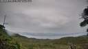 ./images/calvert/fitz-hugh-hecate/20260902/fitz-hugh-hecate20260902_174501M.jpg