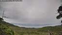 ./images/calvert/fitz-hugh-hecate/20260902/fitz-hugh-hecate20260902_175501M.jpg