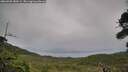 ./images/calvert/fitz-hugh-hecate/20260902/fitz-hugh-hecate20260902_180502M.jpg