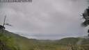 ./images/calvert/fitz-hugh-hecate/20260902/fitz-hugh-hecate20260902_184501M.jpg