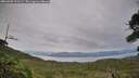 ./images/calvert/fitz-hugh-hecate/20260902/fitz-hugh-hecate20260902_191502M.jpg