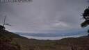 ./images/calvert/fitz-hugh-hecate/20260902/fitz-hugh-hecate20260902_203501M.jpg
