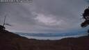 ./images/calvert/fitz-hugh-hecate/20260902/fitz-hugh-hecate20260902_204001M.jpg