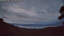 ./images/calvert/fitz-hugh-hecate/20260902/fitz-hugh-hecate20260902_204501M.jpg