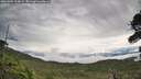 ./images/calvert/fitz-hugh-hecate/20260903/fitz-hugh-hecate20260903_114001M.jpg