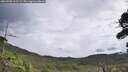 ./images/calvert/fitz-hugh-hecate/20260903/fitz-hugh-hecate20260903_115501M.jpg