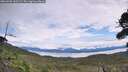 ./images/calvert/fitz-hugh-hecate/20260903/fitz-hugh-hecate20260903_130502M.jpg
