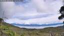 ./images/calvert/fitz-hugh-hecate/20260903/fitz-hugh-hecate20260903_133501M.jpg