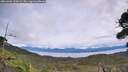 ./images/calvert/fitz-hugh-hecate/20260903/fitz-hugh-hecate20260903_135001M.jpg