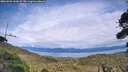 ./images/calvert/fitz-hugh-hecate/20260903/fitz-hugh-hecate20260903_160002M.jpg