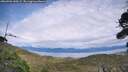 ./images/calvert/fitz-hugh-hecate/20260903/fitz-hugh-hecate20260903_160501M.jpg