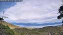 ./images/calvert/fitz-hugh-hecate/20260903/fitz-hugh-hecate20260903_161001M.jpg