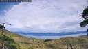 ./images/calvert/fitz-hugh-hecate/20260903/fitz-hugh-hecate20260903_161501M.jpg