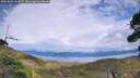 ./images/calvert/fitz-hugh-hecate/20260903/fitz-hugh-hecate20260903_162001M.jpg