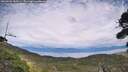./images/calvert/fitz-hugh-hecate/20260903/fitz-hugh-hecate20260903_163501M.jpg