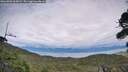 ./images/calvert/fitz-hugh-hecate/20260903/fitz-hugh-hecate20260903_164501M.jpg