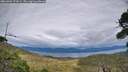 ./images/calvert/fitz-hugh-hecate/20260903/fitz-hugh-hecate20260903_171001M.jpg