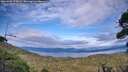 ./images/calvert/fitz-hugh-hecate/20260903/fitz-hugh-hecate20260903_175001M.jpg