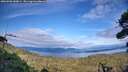 ./images/calvert/fitz-hugh-hecate/20260903/fitz-hugh-hecate20260903_180001M.jpg