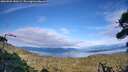 ./images/calvert/fitz-hugh-hecate/20260903/fitz-hugh-hecate20260903_180501M.jpg
