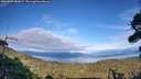 ./images/calvert/fitz-hugh-hecate/20260903/fitz-hugh-hecate20260903_181001M.jpg