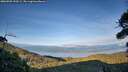 ./images/calvert/fitz-hugh-hecate/20260903/fitz-hugh-hecate20260903_190501M.jpg