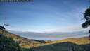 ./images/calvert/fitz-hugh-hecate/20260903/fitz-hugh-hecate20260903_191001M.jpg