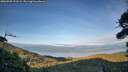 ./images/calvert/fitz-hugh-hecate/20260903/fitz-hugh-hecate20260903_191502M.jpg