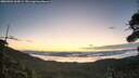 ./images/calvert/fitz-hugh-hecate/20260904/fitz-hugh-hecate20260904_063001M.jpg