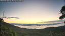 ./images/calvert/fitz-hugh-hecate/20260904/fitz-hugh-hecate20260904_063501M.jpg