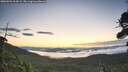 ./images/calvert/fitz-hugh-hecate/20260904/fitz-hugh-hecate20260904_064501M.jpg