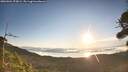 ./images/calvert/fitz-hugh-hecate/20260904/fitz-hugh-hecate20260904_075002M.jpg