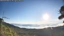 ./images/calvert/fitz-hugh-hecate/20260904/fitz-hugh-hecate20260904_081002M.jpg